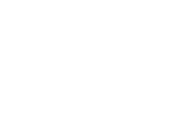SAE Institute